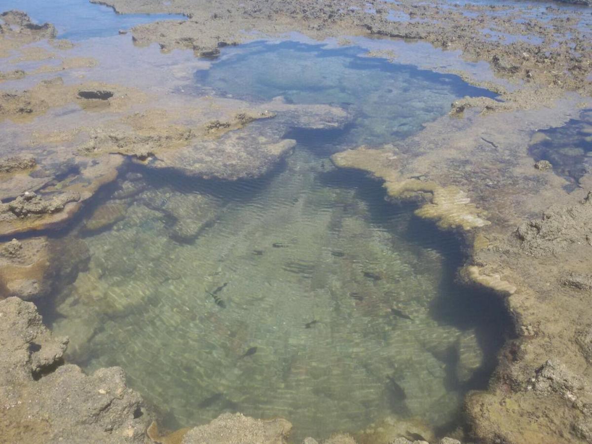 Pousada Recanto Da Enseada Cabo de Santo Agostinho Dış mekan fotoğraf